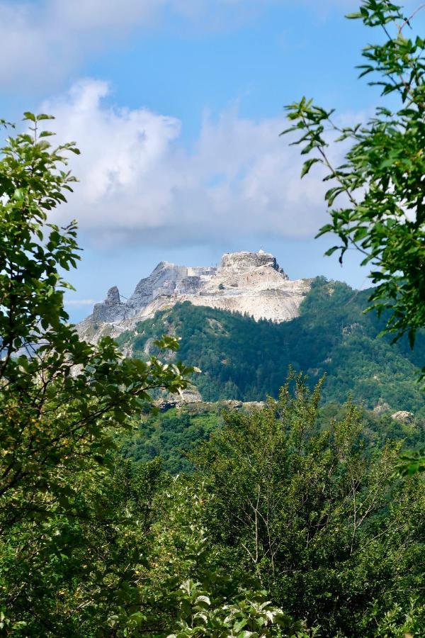 Casa Del Geco - La Natura Intorno A Te Камайоре Екстер'єр фото